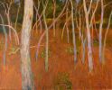 Forest Colour Play w.jpg